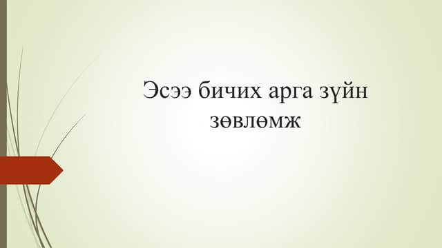 Эссэ бичих арга зүйн зөвлөмж
