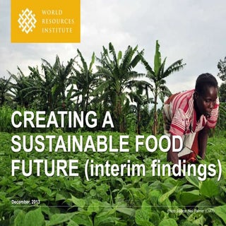 Creating a Sustainable Food Future:...
