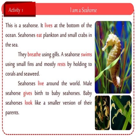 Reading Activity: Seahorse