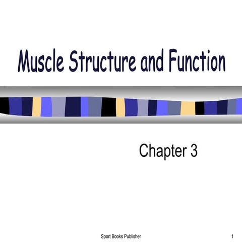 muscle structure_and_function