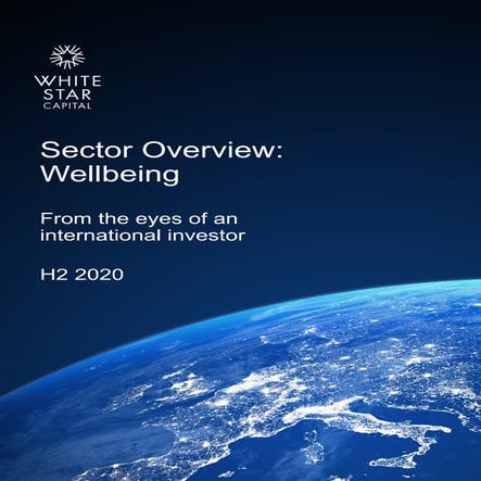 Explore the 2020 Wellbeing Sector