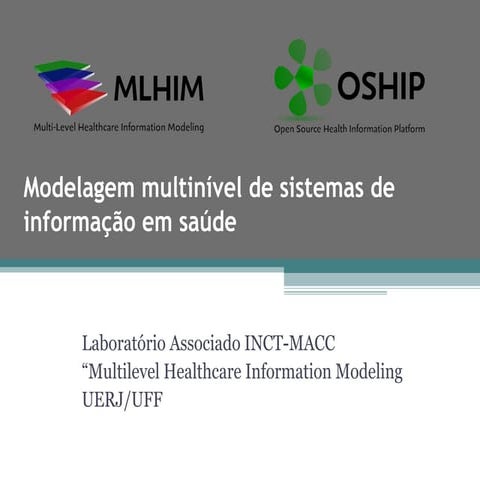 Presentation WSCHA 2010 - in portuguese