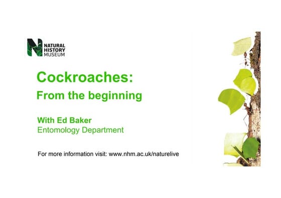 Nature Live!: Cockroaches from the beginning (May 2012)
