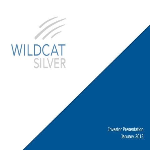 Wildcat Silver Corporate Presentation | PDF