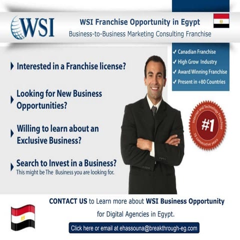 WSI Franchise Opportunity in Egypt