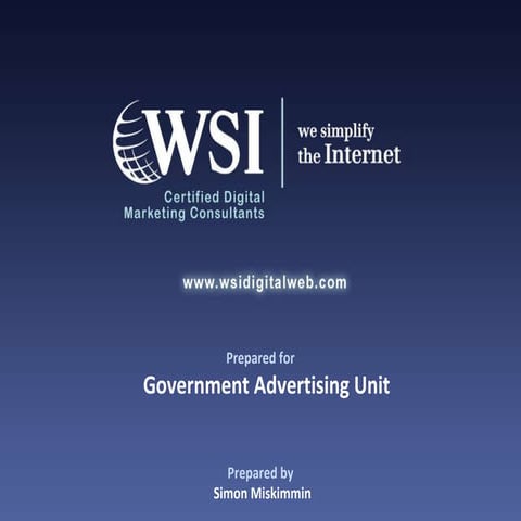 Wsi presentation for government