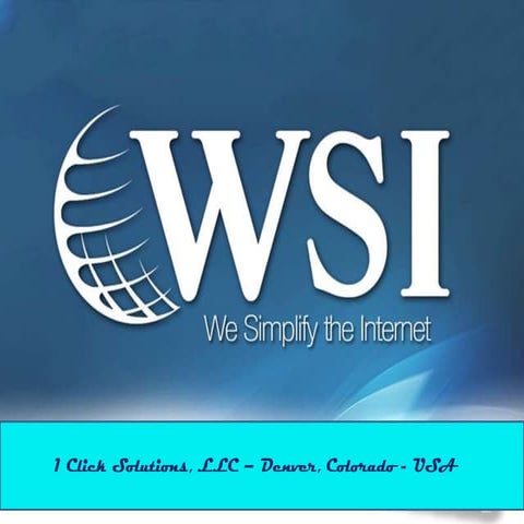 Details on Holistic Internet Marketing from 1 Click Solutions, LLC