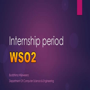 WSO2 Internsip Period