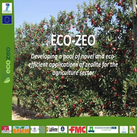 Ecozeo: Developing a pool of novel and eco‐efficient applications of zeolitefor the agriculture sector