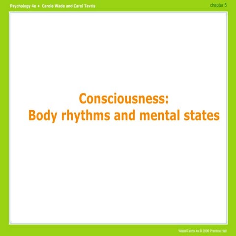Consciousness PowerPoint