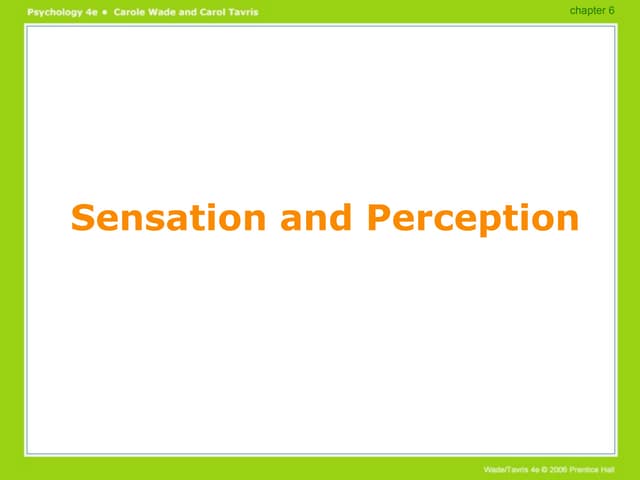Sensation & Perception PowerPoint