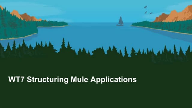 Wt7 structuring mule applications
