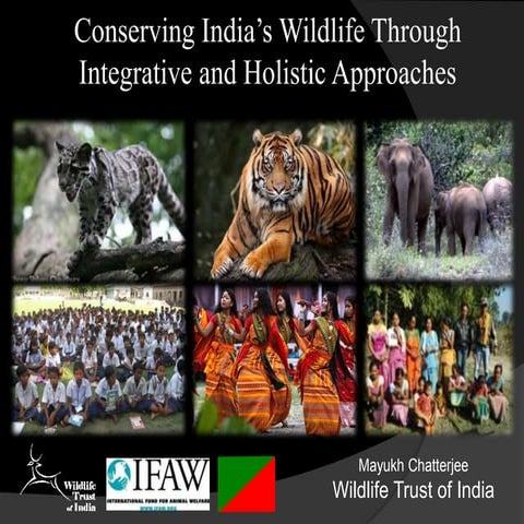 India-Wildlife and People
