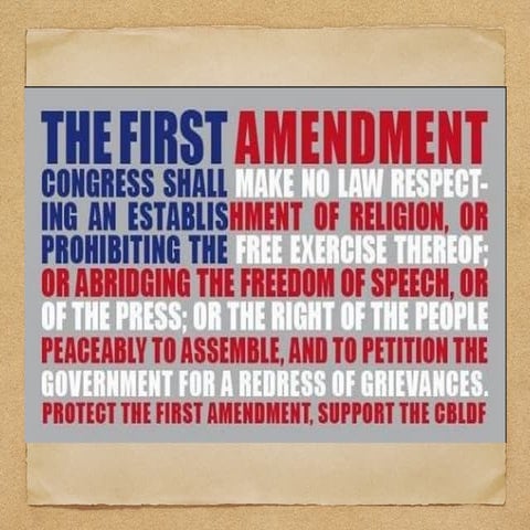 We The People, session v, First Amendment | PDF