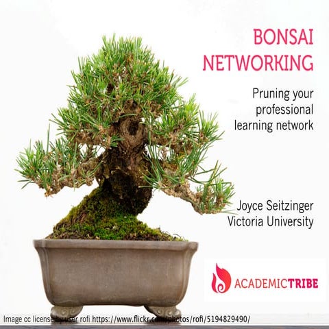 Bonsai Networking: pruning your professional learning network (VU Seminar)