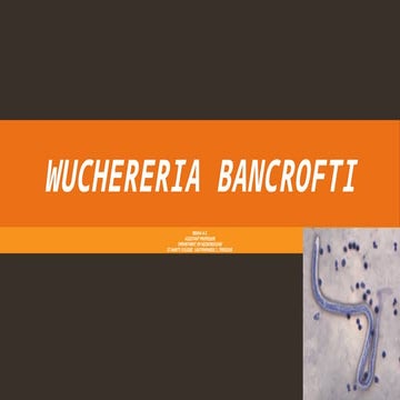 Wuchereria Bancrofti Morphology , Pathogenesis , Lab diagnosis , Treatment & ...