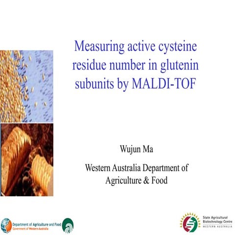 Measuring active cysteine residue number in glutenin  subunits by MALDI-TOF