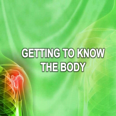 Reflection human body-powerpoint