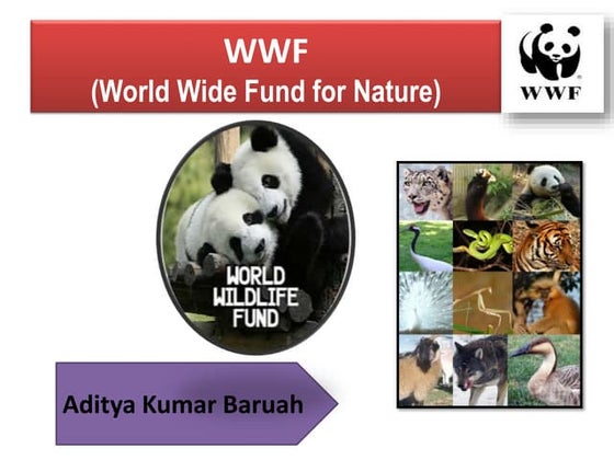 World wildlife fund (wwf) | PPTX | Environment | Science