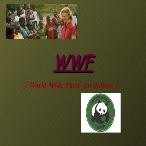 WWF-2