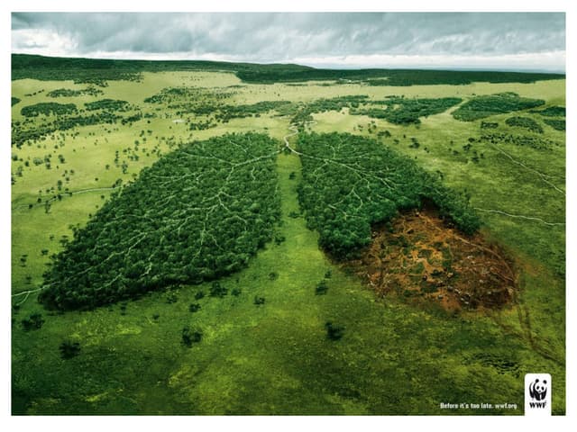 earth