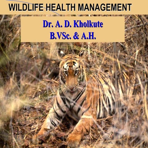 Wildlife Health Management