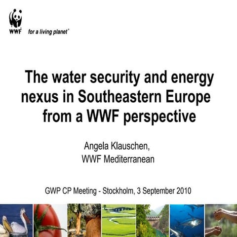 The water Security and Energy Nexus in Southeastern Europe from a WWF Perspec...