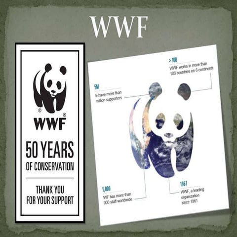 Wwf | PPTX