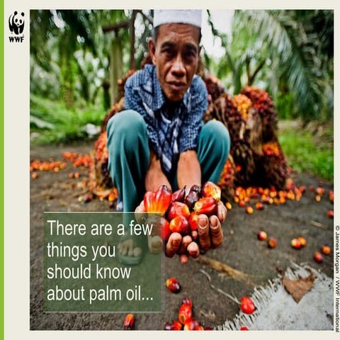 GreenPalm - Making a difference to RSPO certified Palm Oil & Palm ...