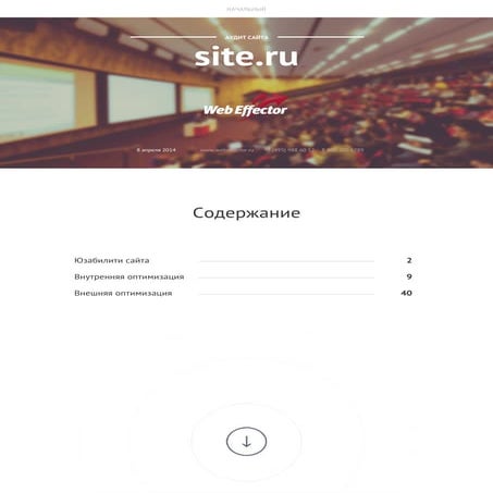 Пример стандартного аудита 