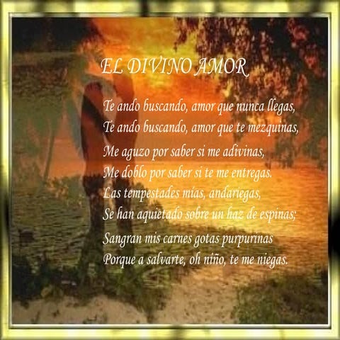 Divino amor | PPS