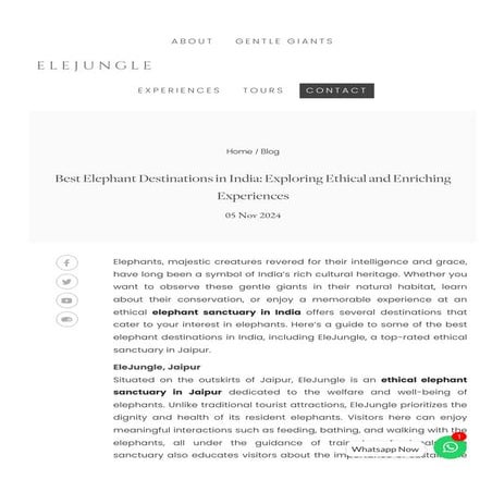 Best Elephant Destinations in India: Exploring Ethical and Enriching Experiences