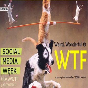 Weird, Wonderful & WTF