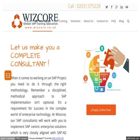 Five Phases of SAP Internships - Wizcore 