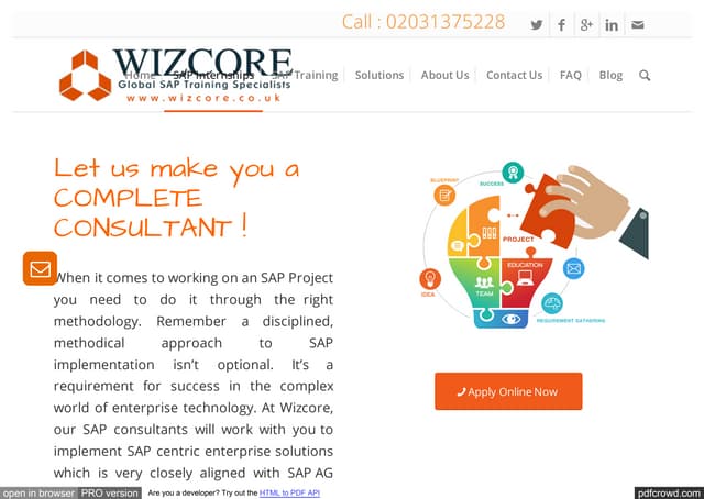 Five Phases of SAP Internships - Wizcore 