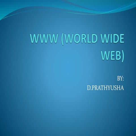 Www (world wide web)