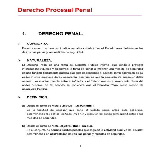 Derecho procesal penal completo