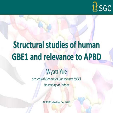 Structural Studies of Human GBE1 and Relevance to APBD