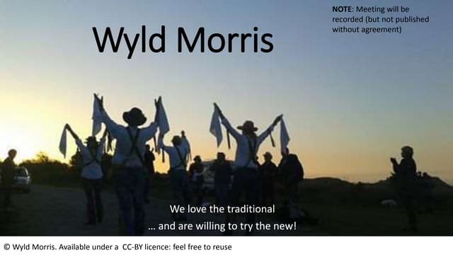 Wyld Morris: Zoom summary for mtg 3