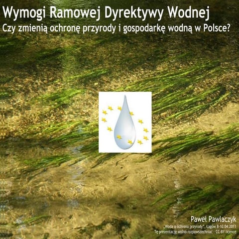 Wymogi Ramowej Dyrektywy Wodnej.  Czy zmienią ochronę przyrody i gospodarkę w...