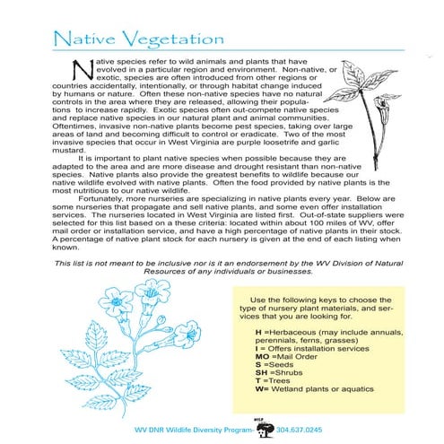 Native Vegetation - West Virginia