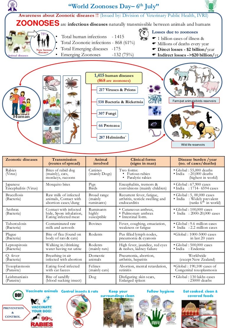 About common Zoonoses
