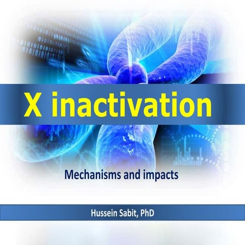 X chromosome Inactivation