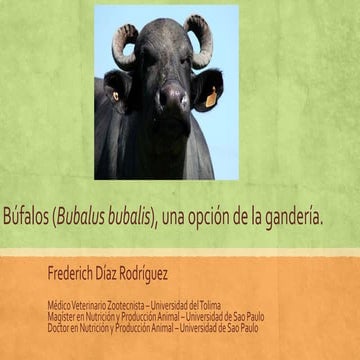 Bufalos.pptx