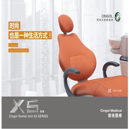 Cingol x1 | PDF