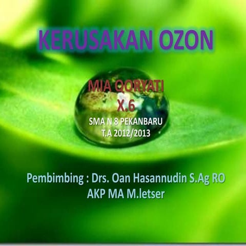 PPT OZON
