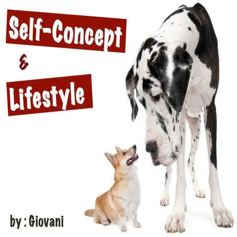 Self concept and lifestyle