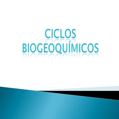 Ciclos Biogeoquímicos