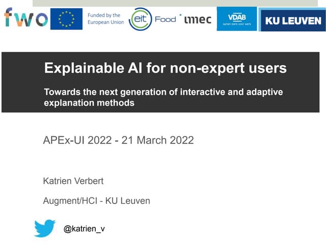 Explainable AI for non-expert users