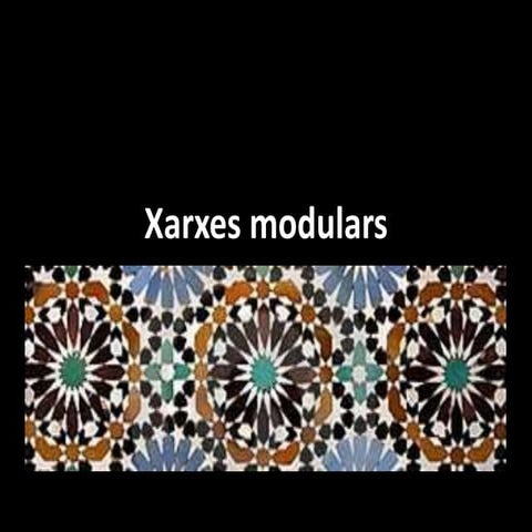 Xarxes modulars 